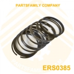 WEIFANG 4100 K4100D Engine Piston Ring Set